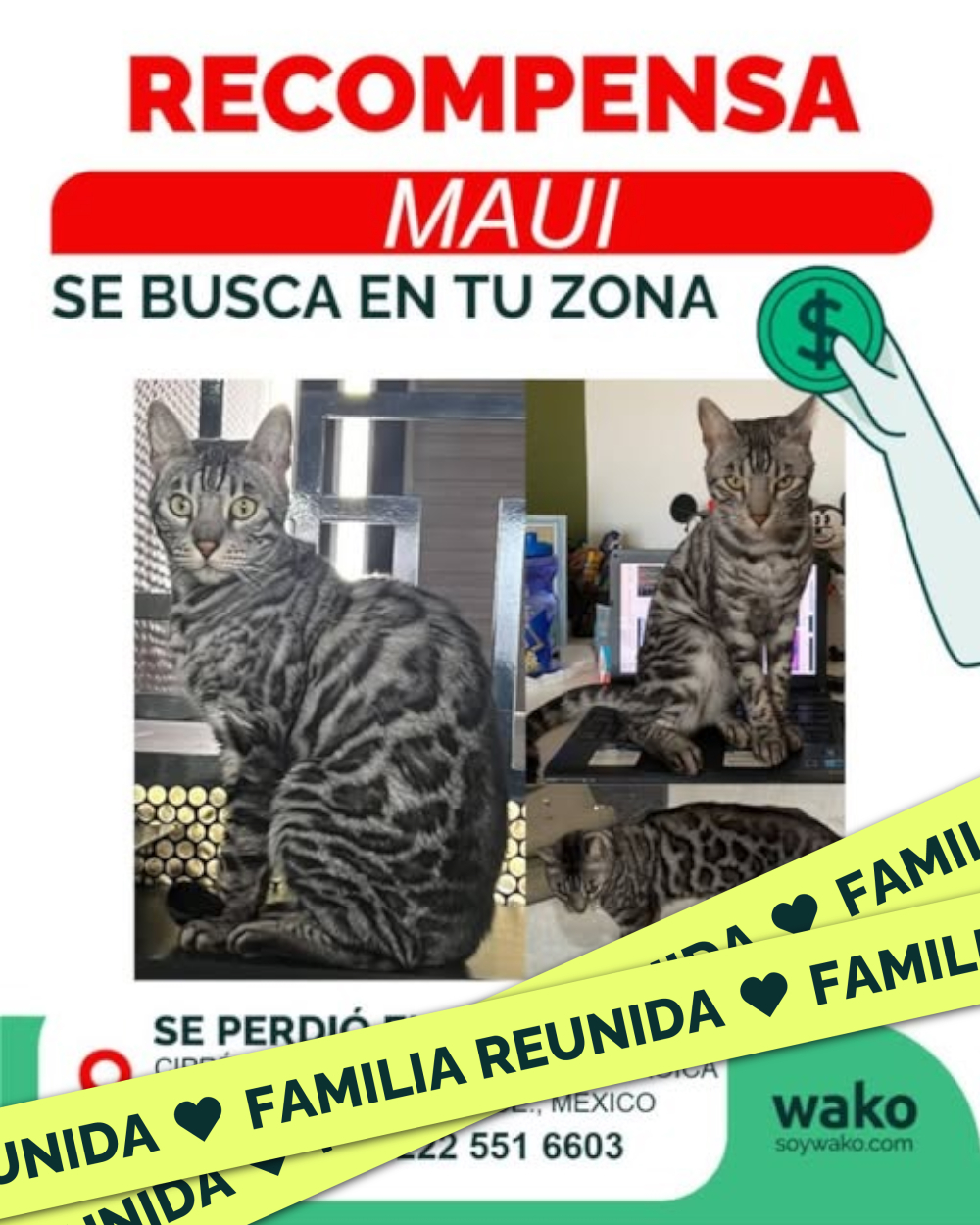 Mascota reunida