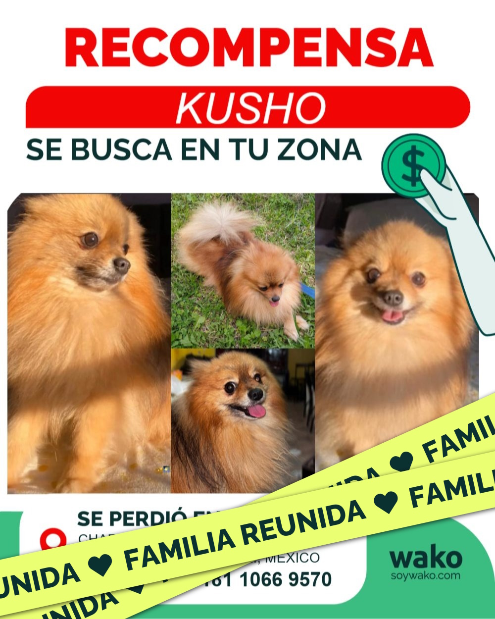 Mascota reunida