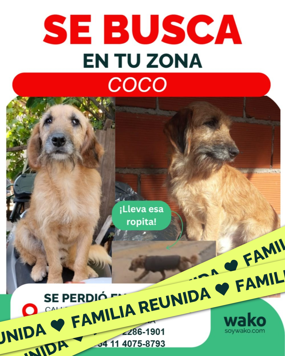 Mascota reunida