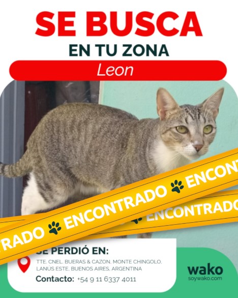 Mascota reunida