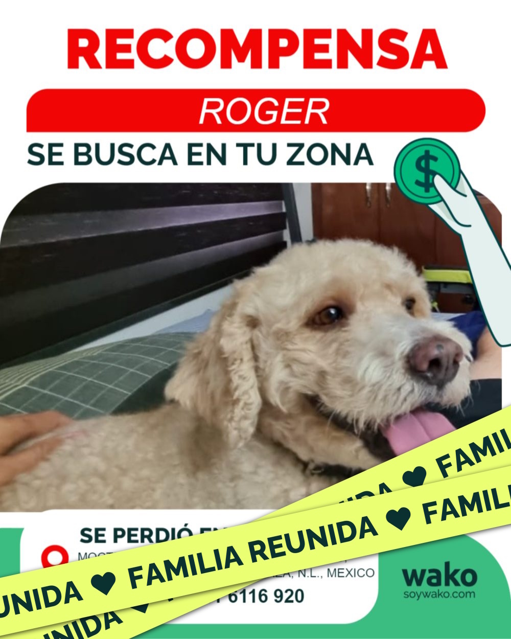 Mascota reunida