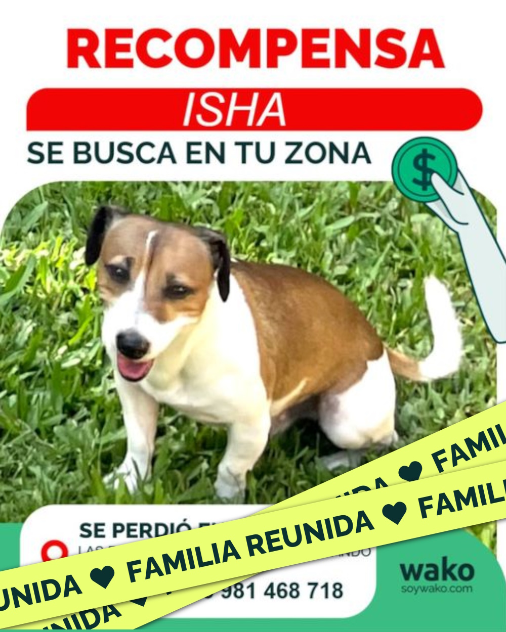 Mascota reunida