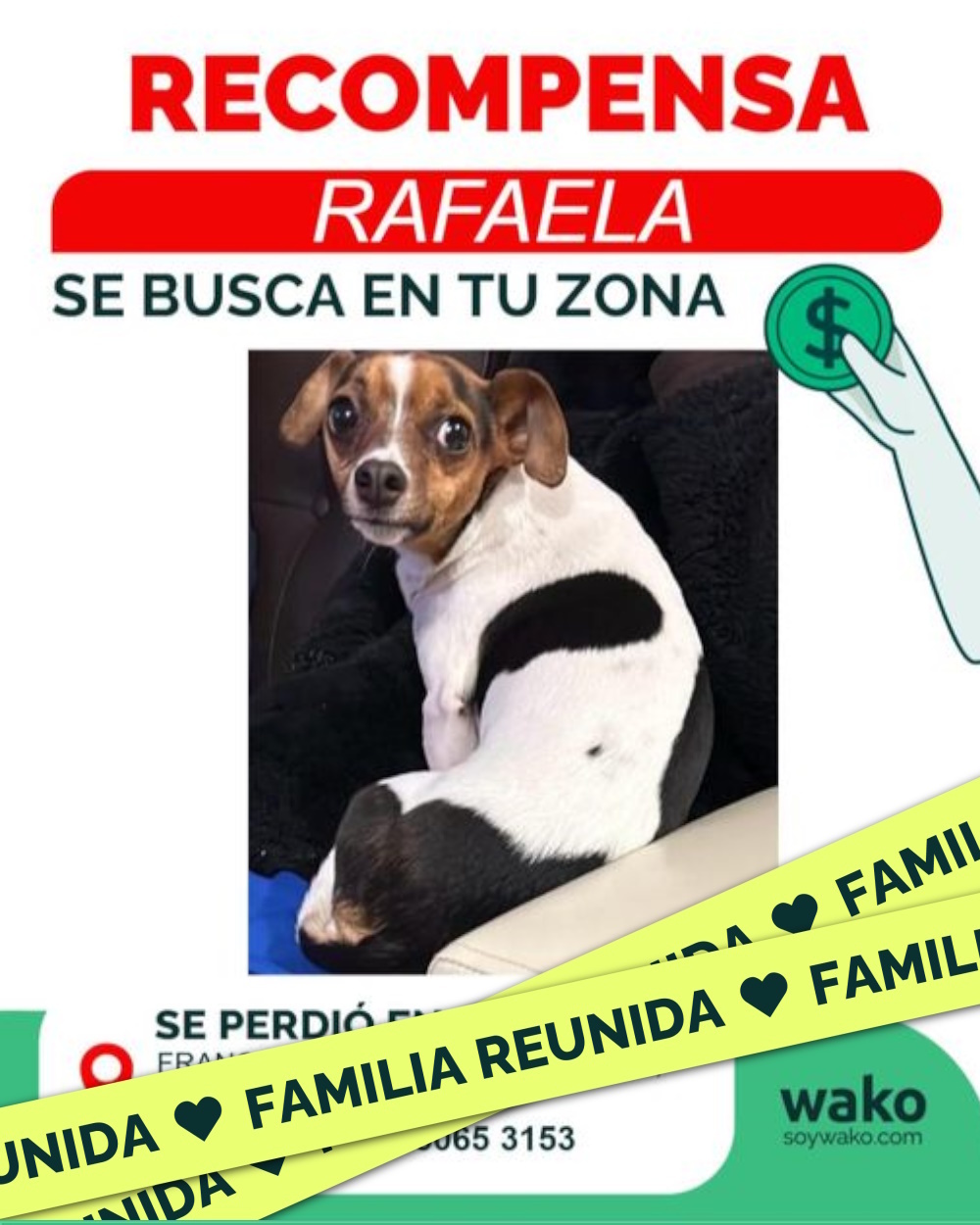 Mascota reunida