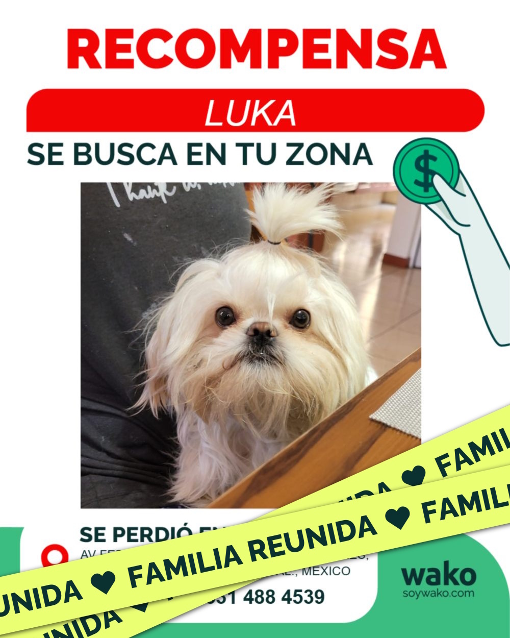 Mascota reunida