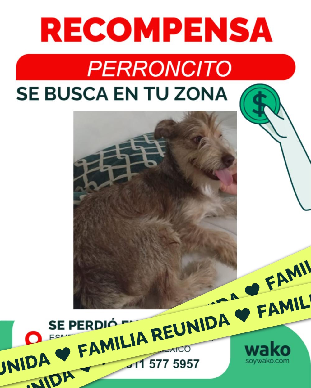 Mascota reunida