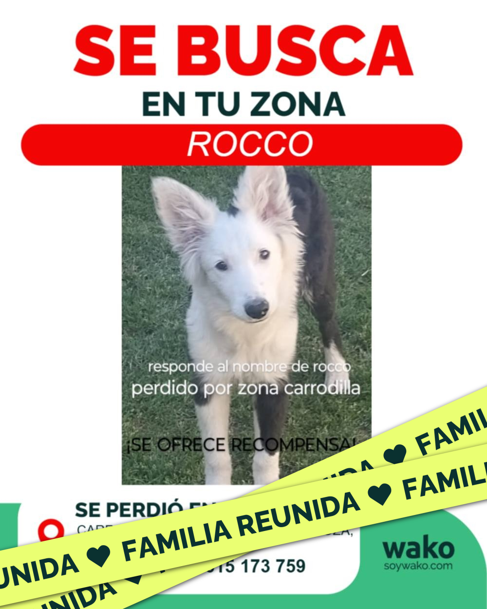 Mascota reunida