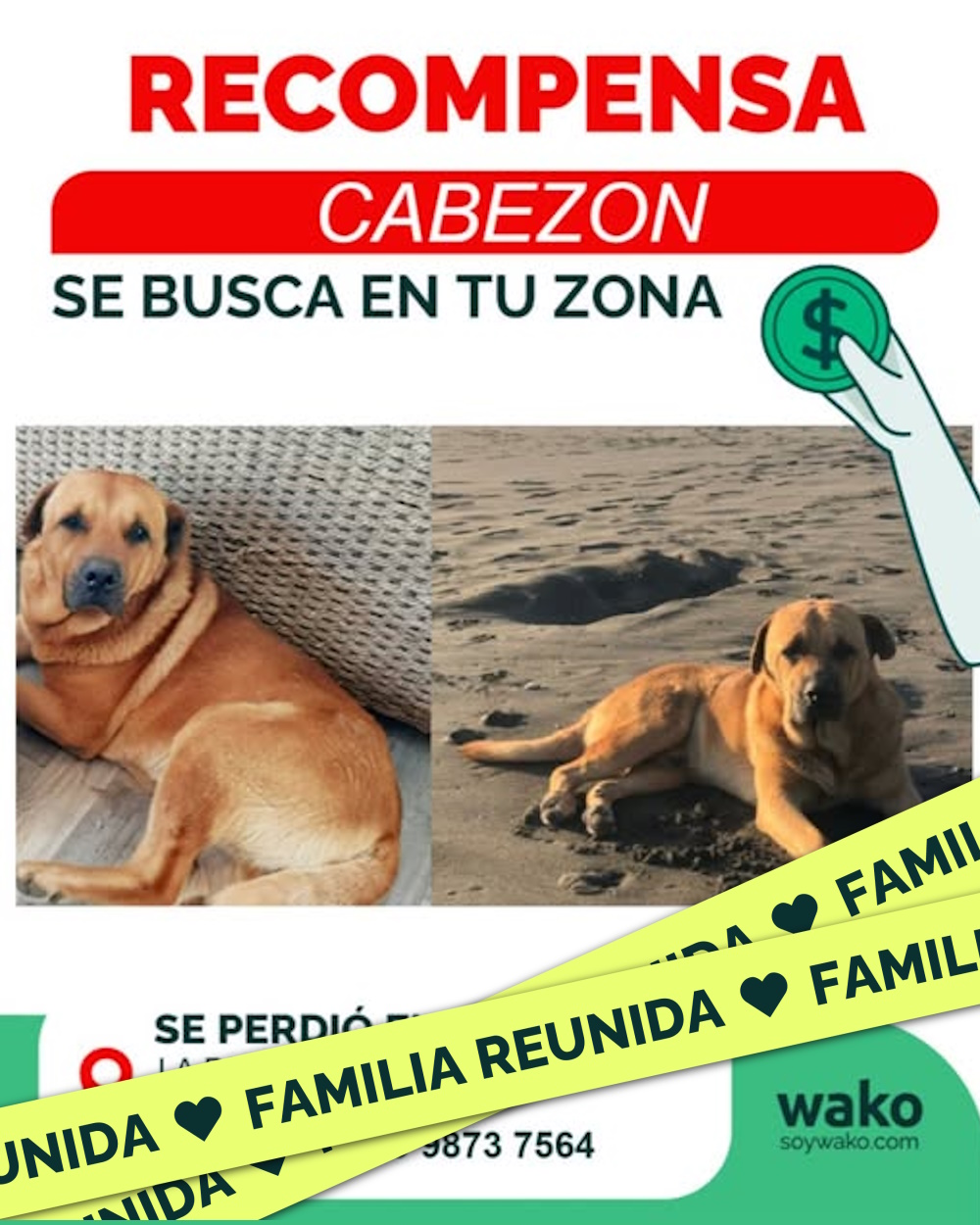 Mascota reunida