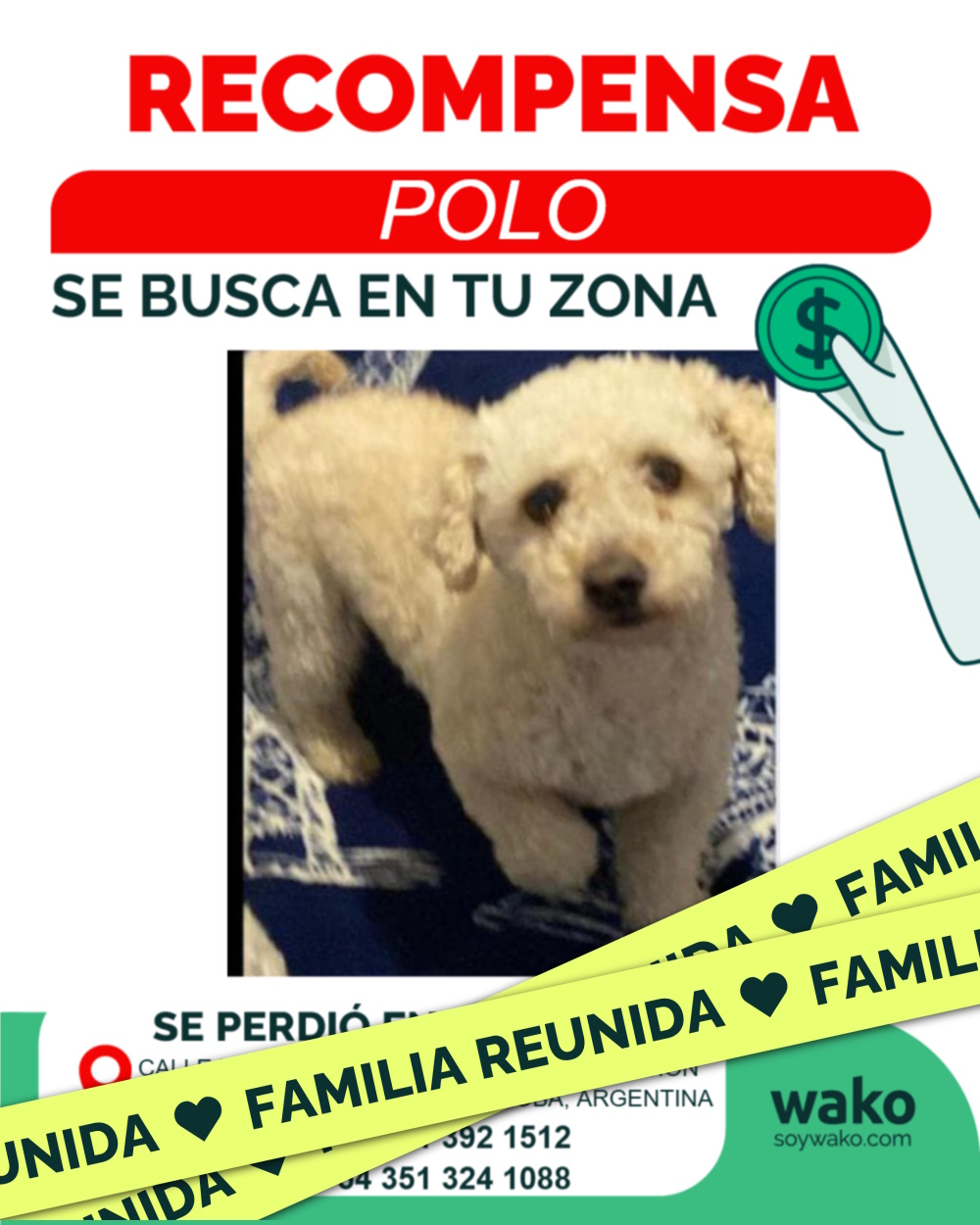 Mascota reunida