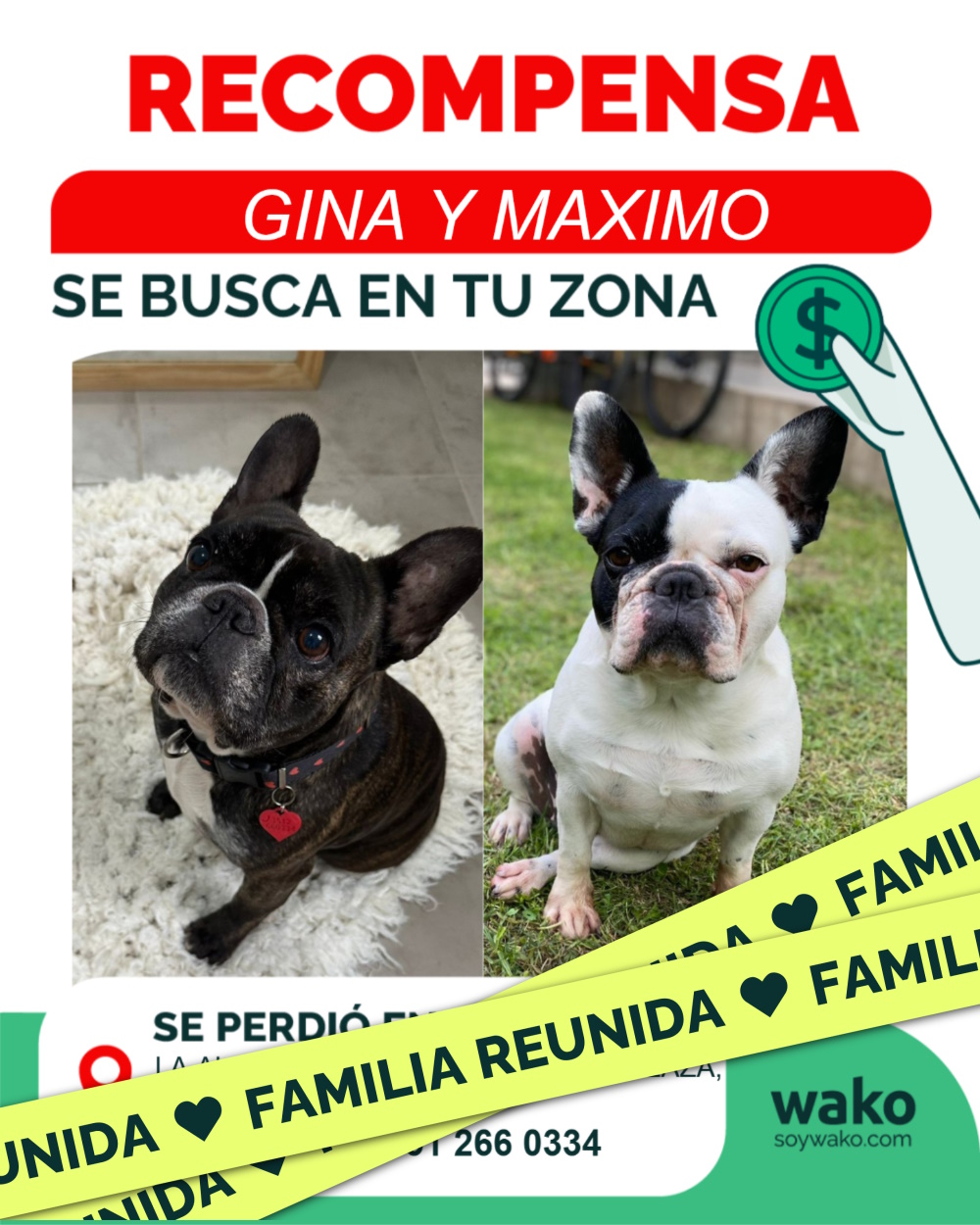 Mascota reunida