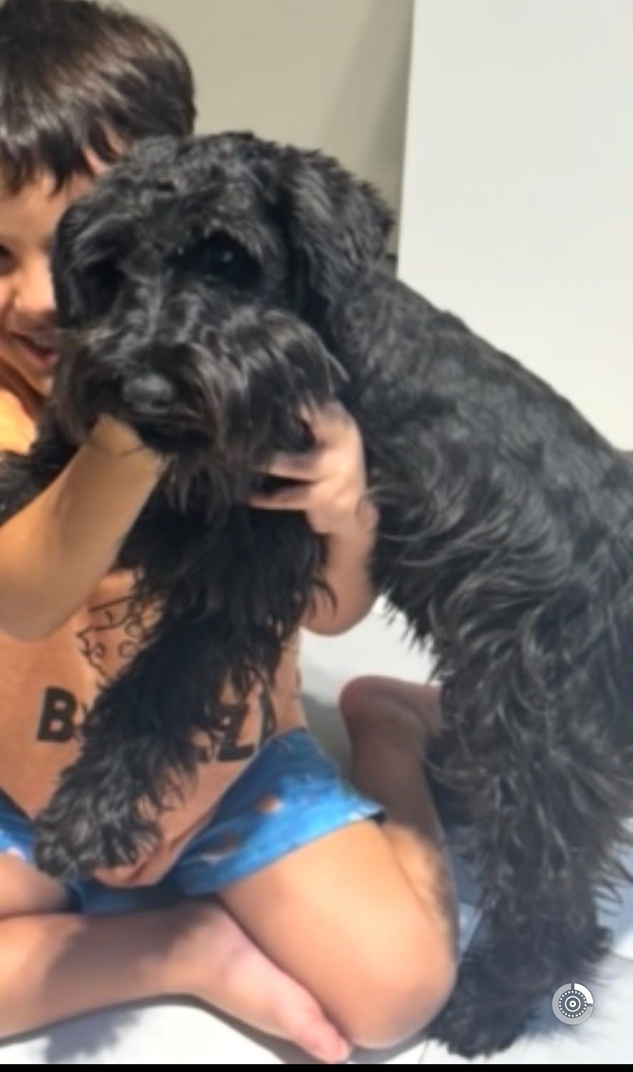Morena, perro encontrado en Martínez, Buenos Aires con el aviso de búsqueda de Wako