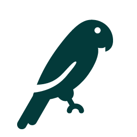 Otra especie