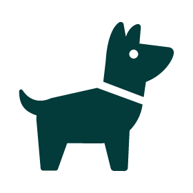 Perro