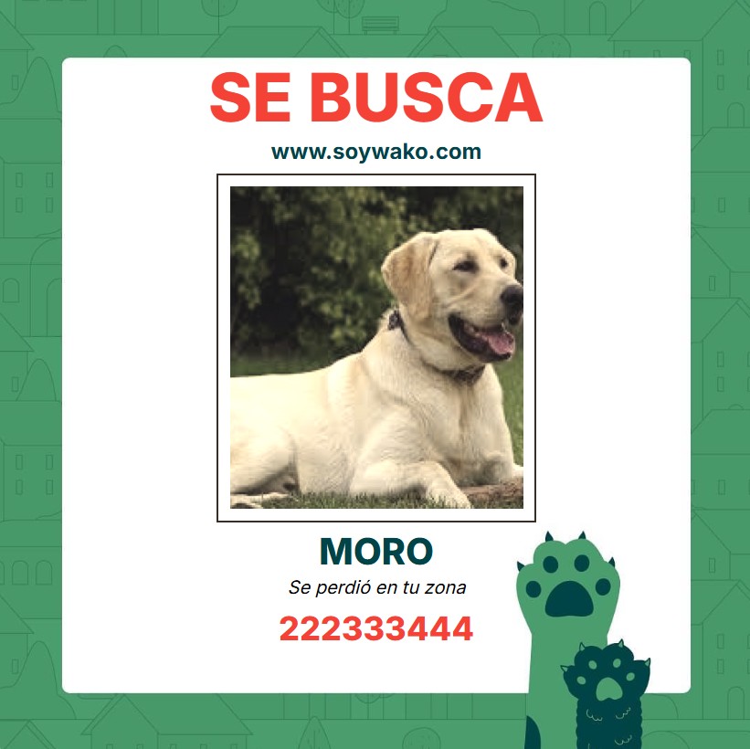 Ejemplo de búsqueda